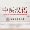 中医汉语